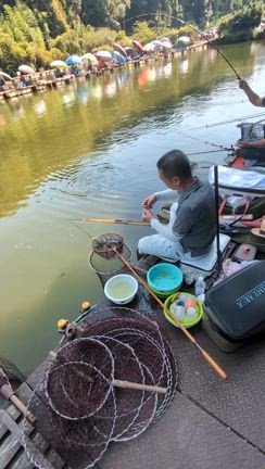 恵一作総高野竹へら竿の記事動画