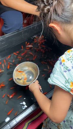 夏まつり他の記事動画