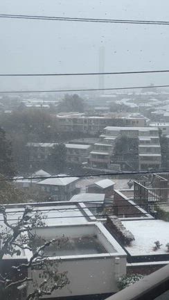 新しい ヘアスタイルで ご機嫌にね❣️（＾Ｏ＾☆♪の記事動画