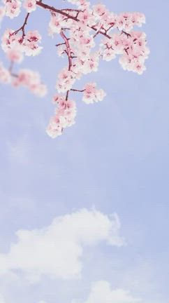 <Nスリム医院>いよいよ今週末！！東京相談会限定、7つの特典ご紹介！！の記事動画