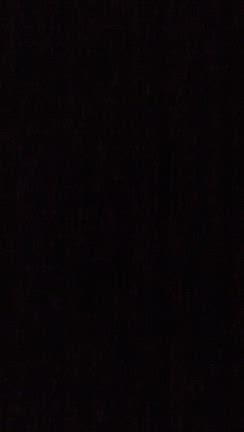 12月18日木曜日✨✨✨✨✨✨✨✨✨の記事動画