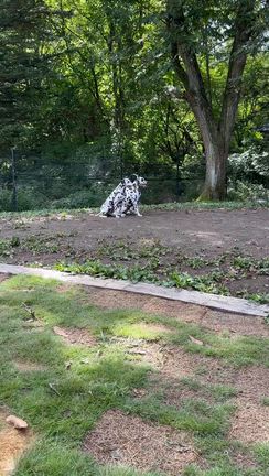 来週は店主不在になりまーすの記事動画