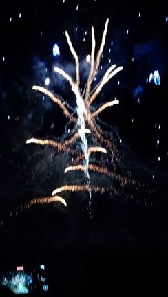 秋華火4の記事動画