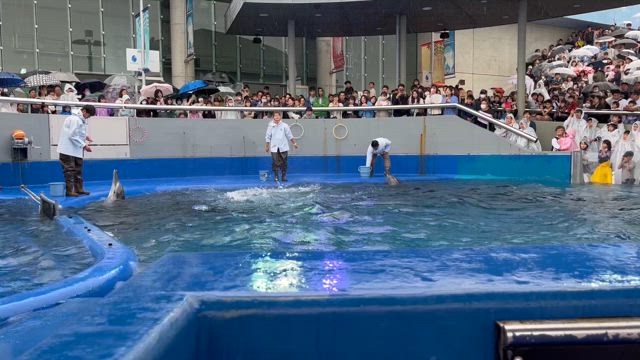 うみたまごと今年初キャンプ。の記事動画