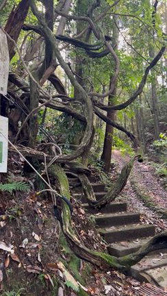 女2人旅➓2日目の記事動画