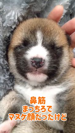 元気が戻ってきた兆しの記事動画