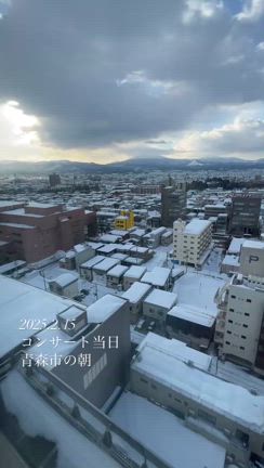 2025/02/15の記事動画