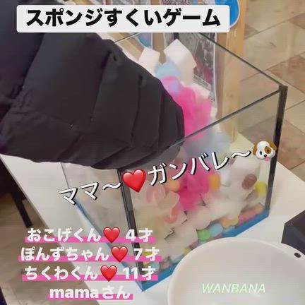 ワンバナ店舗のホワイトデーイベント！今日まで／Spring初日！たくさん！愛犬！猫ちゃん浸透か？の記事動画
