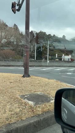 【わんたの旅】Vol.1 水戸の梅まつりの時期だけ電車が停まる幻の駅の記事動画