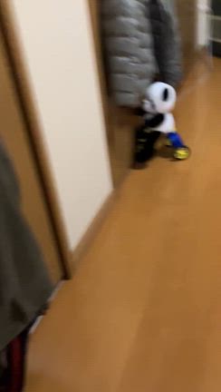 当日予約が難しくなって来ました。の記事動画