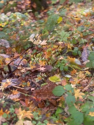 2025/11/23の記事動画