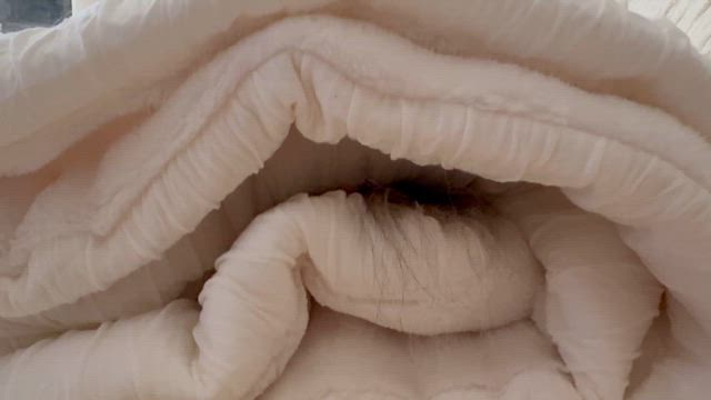 最高の心地よさ★リバーシブルブランケットの記事動画