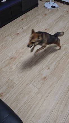 今日の運勢は❔9月24日　ラッキーカラー❕　少し涼しさがの記事動画