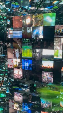 万博⑥落合陽一氏プロデュースnull2ヌルヌル。命を磨く。事前準備のススメ。の記事動画