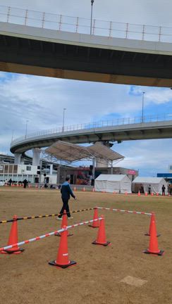 ご当地キャラEXPO２日目の記事動画