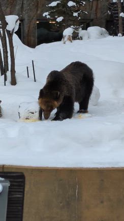 北海道旅行②の記事動画