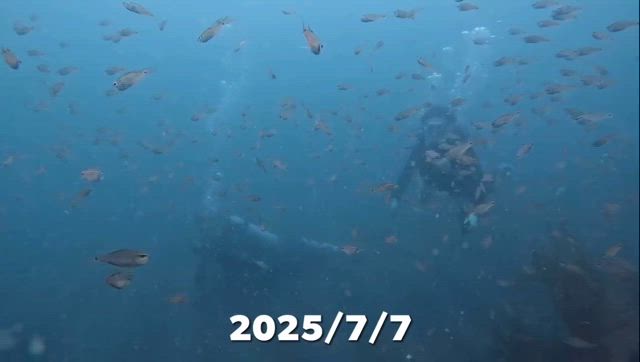 2025/07/12の記事動画