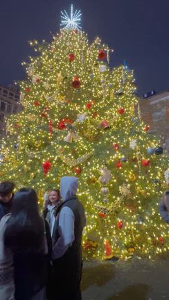 ウィンタービレッジの記事動画