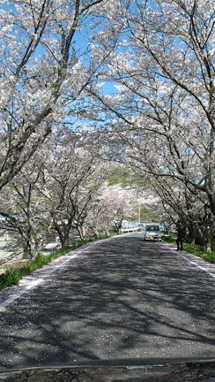 衝撃的だった事…の記事動画