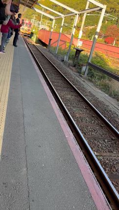 バスツアーの記事動画