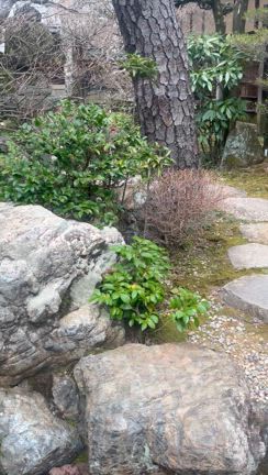 春の美濃でお豆フェス②の記事動画