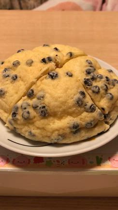 松ぼっくりの木と飛行機雲そして早口言葉翔子ちゃん24秒できたぁの記事動画