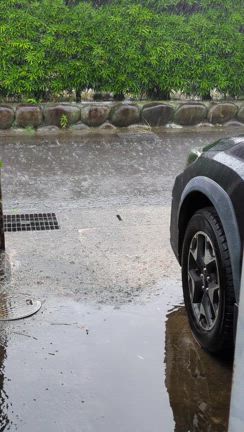 レベル4の記事動画