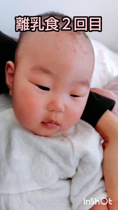 帰国後のハプニングと初の離乳食！の記事動画