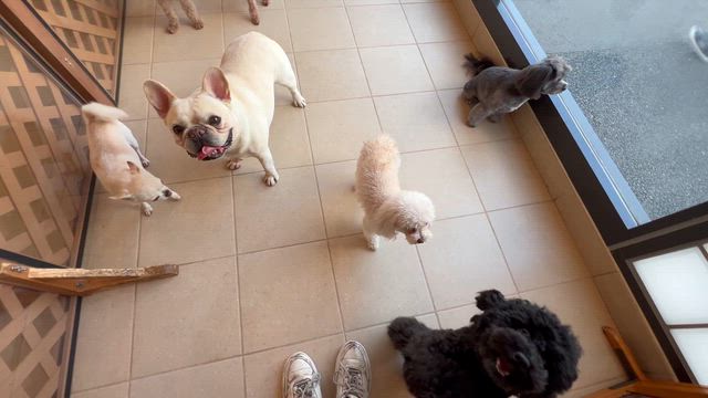 世界遺産ちょっと興味あるの記事動画