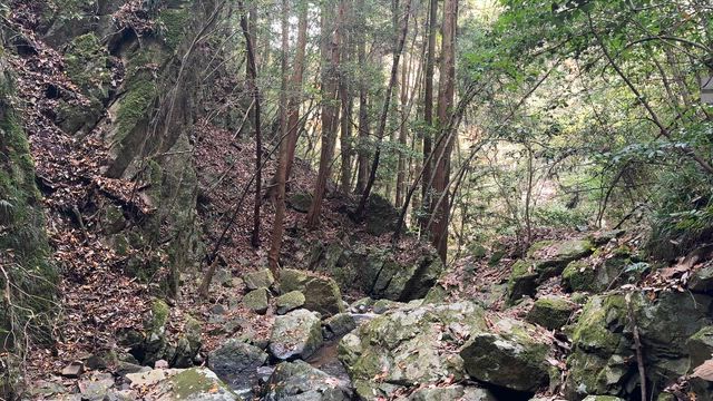 広島県 三次市の白糸滝と品の滝の記事動画