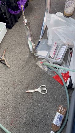 完璧の記事動画