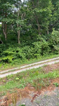 ８月1日オープンします。の記事動画