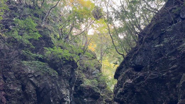 山口県 ふたしかの梅津の滝遊歩道の記事動画