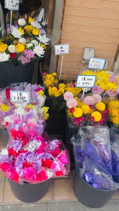 假屋崎省吾さんの真似してみました(笑)の記事動画