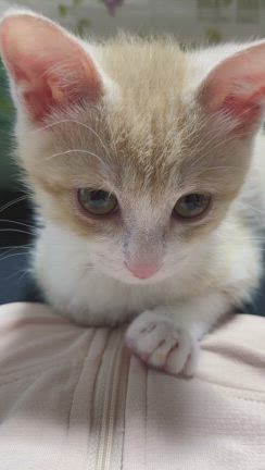 休日の記事動画