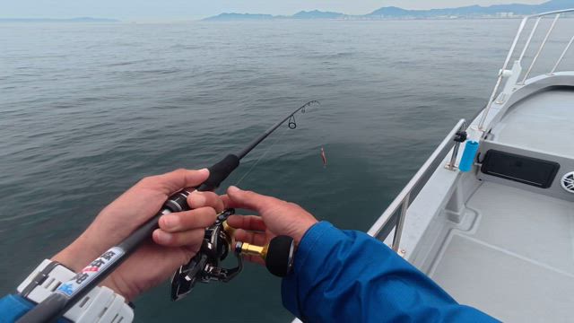 キャスティング上向き！の記事動画