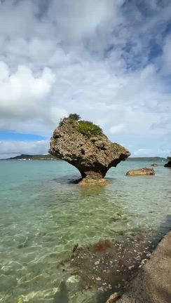 沖縄のパワースポットから動画をお届けします！の記事動画