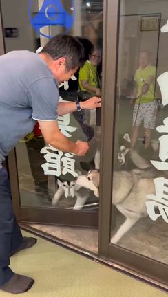 【空手】いつも寄ってくれる友達【極真館】浦和、東浦和、柳崎、北園町の記事動画