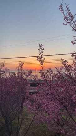 ◆朝陽が苦手だったけどの記事動画