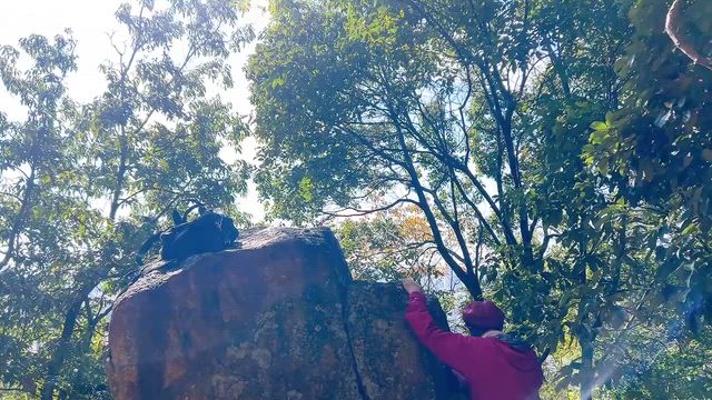 太陽の岩到着ヾ(≧▽≦)ﾉの記事動画