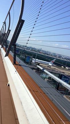 出国の記事動画