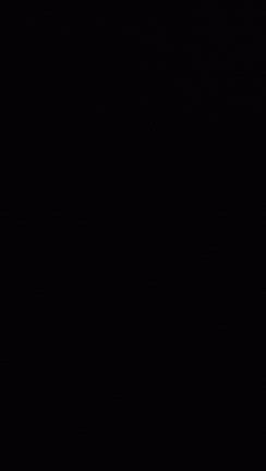 かねたたきの記事動画