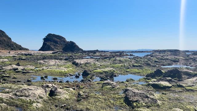 春の日帰りひとり旅の記事動画