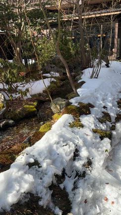 草津温泉旅行パート②旅館「お宿　木の葉」２日目の記事動画
