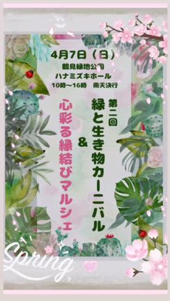 イベント準備【川の中のめだか】の記事動画