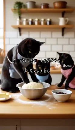 幸せのシュトーレンレッスン♪の記事動画