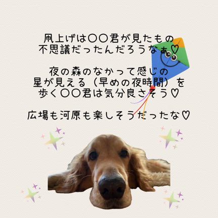 ビジョン派？お話派？どちらのタイプ？の記事動画