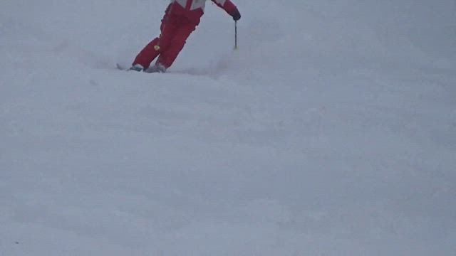 月山コブキャンプの記事動画