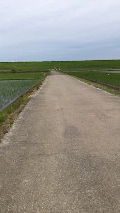 彩湖とか、荒サイ左岸をロードバイクで出勤ライド！草刈り除草かなり進んでて走りやすい♪の記事動画