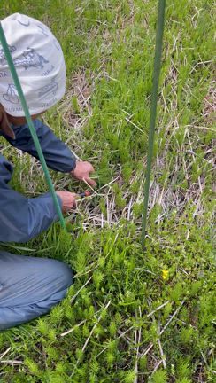憧れの畑へ・・「茶色の朝」を迎えるわたしたちの記事動画